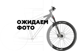 Электровелосипед E-motions Datsha 4Two 24